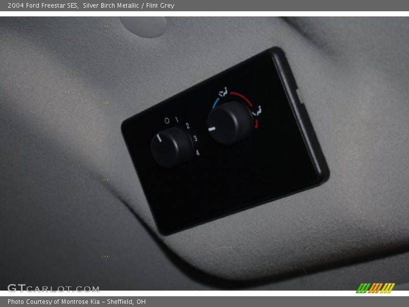 Silver Birch Metallic / Flint Grey 2004 Ford Freestar SES