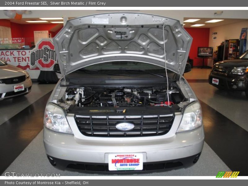 Silver Birch Metallic / Flint Grey 2004 Ford Freestar SES
