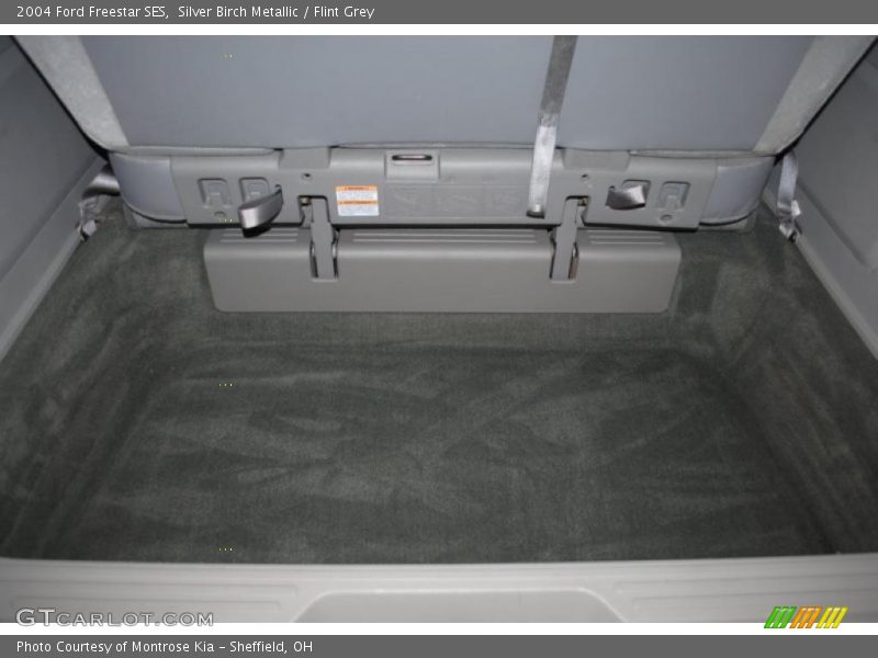 Silver Birch Metallic / Flint Grey 2004 Ford Freestar SES