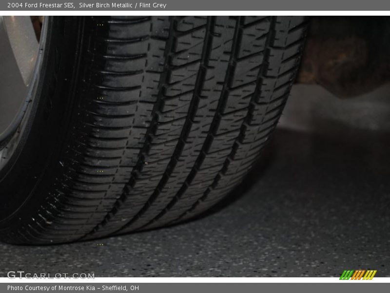 Silver Birch Metallic / Flint Grey 2004 Ford Freestar SES