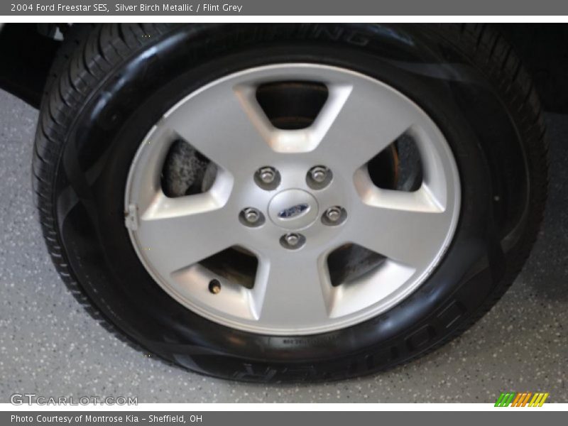 Silver Birch Metallic / Flint Grey 2004 Ford Freestar SES