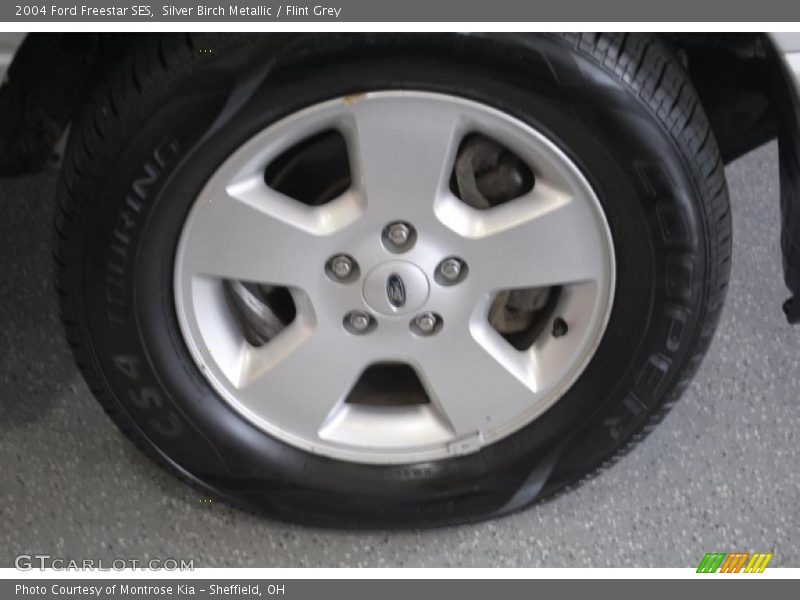 Silver Birch Metallic / Flint Grey 2004 Ford Freestar SES