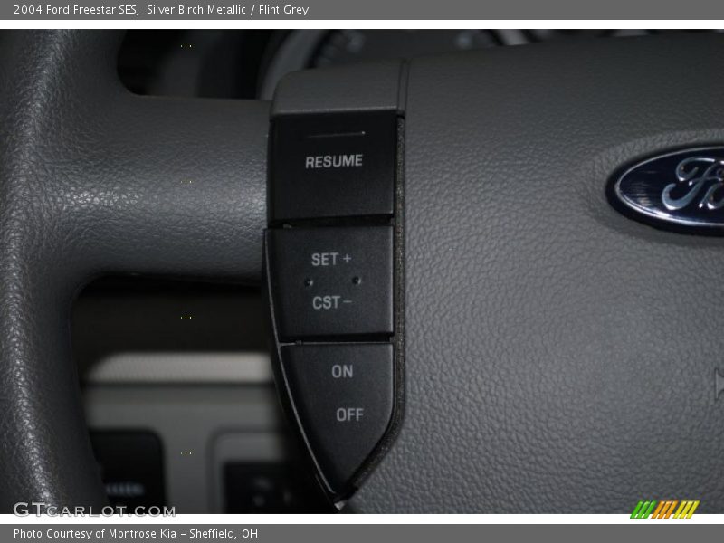 Silver Birch Metallic / Flint Grey 2004 Ford Freestar SES