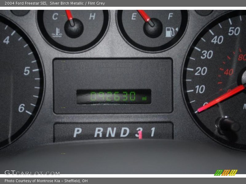 Silver Birch Metallic / Flint Grey 2004 Ford Freestar SES