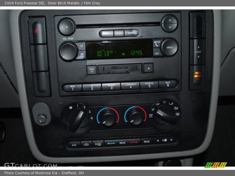 Silver Birch Metallic / Flint Grey 2004 Ford Freestar SES