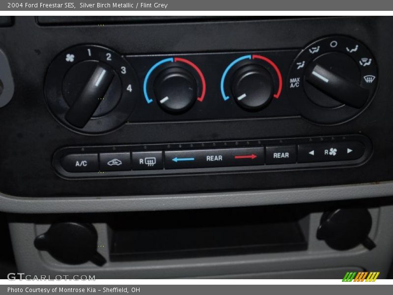 Silver Birch Metallic / Flint Grey 2004 Ford Freestar SES