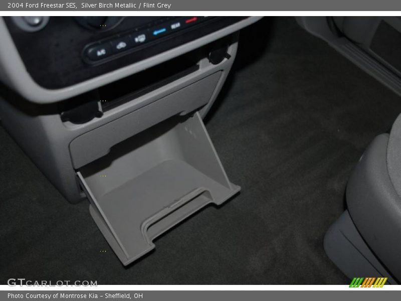 Silver Birch Metallic / Flint Grey 2004 Ford Freestar SES