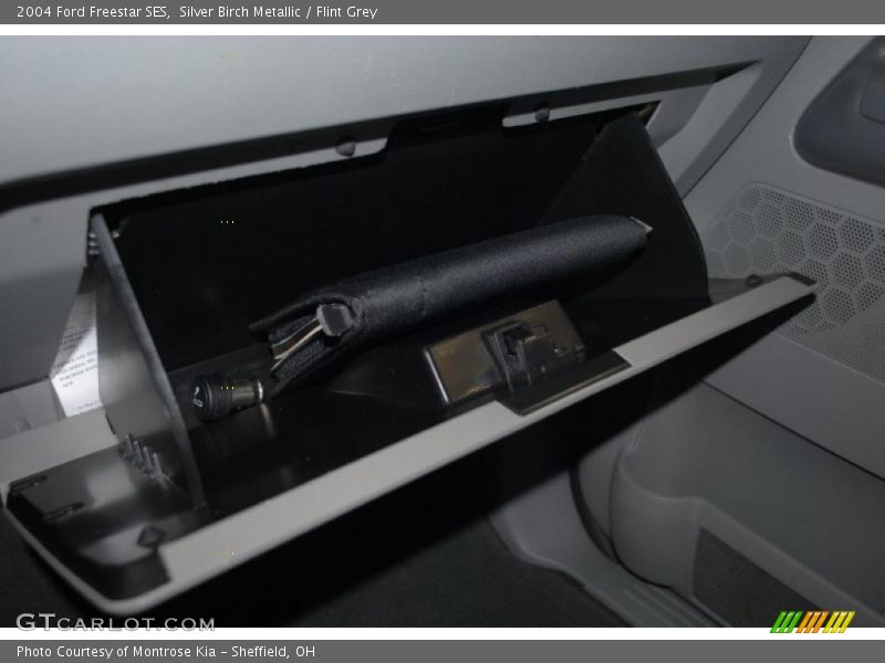 Silver Birch Metallic / Flint Grey 2004 Ford Freestar SES