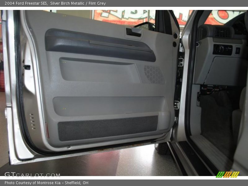 Silver Birch Metallic / Flint Grey 2004 Ford Freestar SES