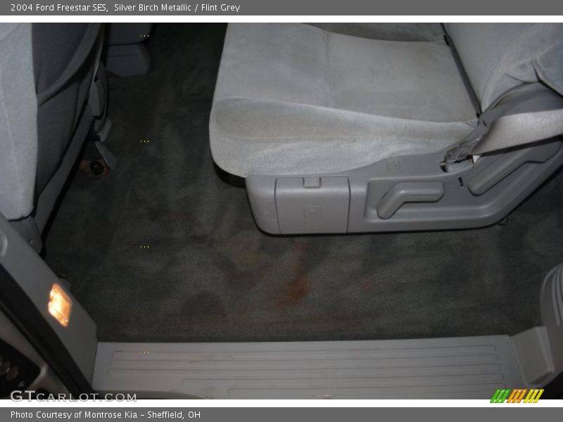 Silver Birch Metallic / Flint Grey 2004 Ford Freestar SES