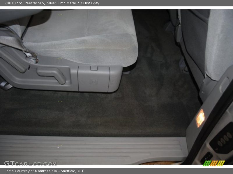 Silver Birch Metallic / Flint Grey 2004 Ford Freestar SES