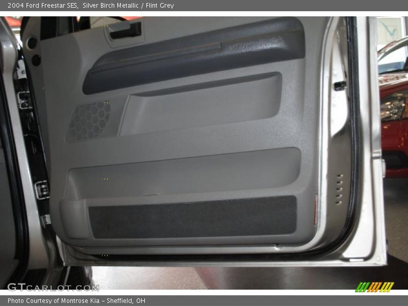Silver Birch Metallic / Flint Grey 2004 Ford Freestar SES