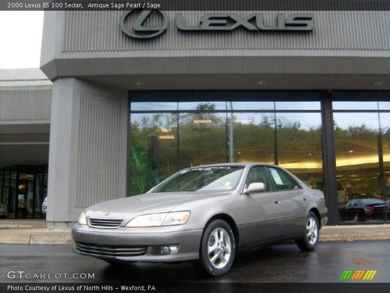 Antique Sage Pearl / Sage 2000 Lexus ES 300 Sedan
