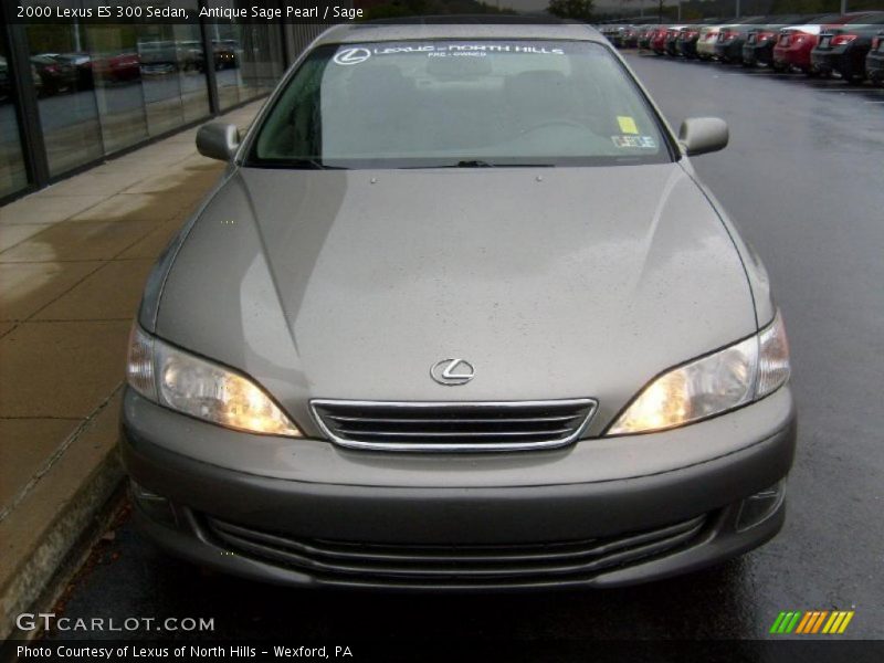 Antique Sage Pearl / Sage 2000 Lexus ES 300 Sedan