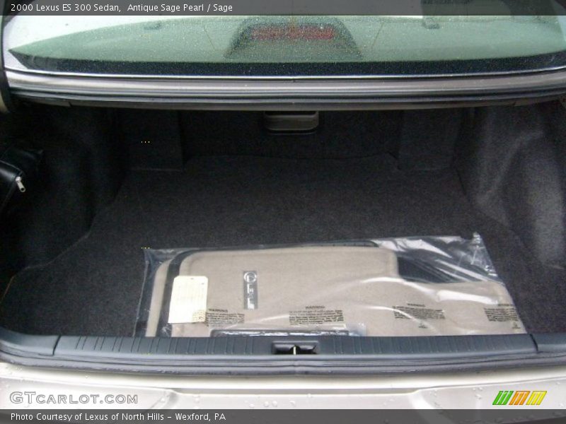 Antique Sage Pearl / Sage 2000 Lexus ES 300 Sedan