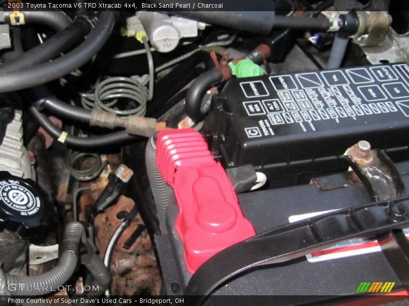 Black Sand Pearl / Charcoal 2003 Toyota Tacoma V6 TRD Xtracab 4x4