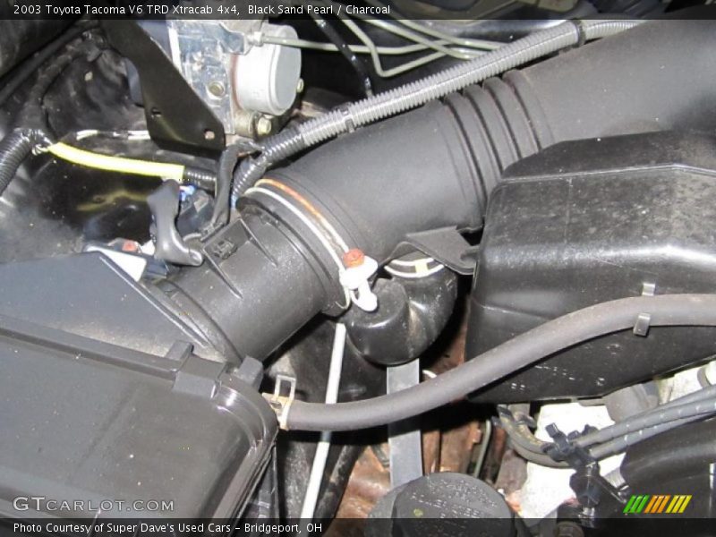 Black Sand Pearl / Charcoal 2003 Toyota Tacoma V6 TRD Xtracab 4x4