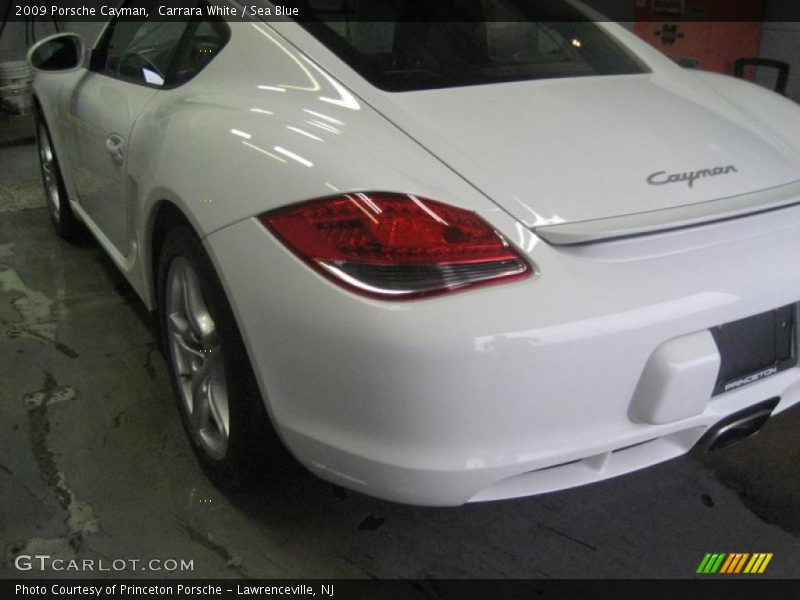 Carrara White / Sea Blue 2009 Porsche Cayman