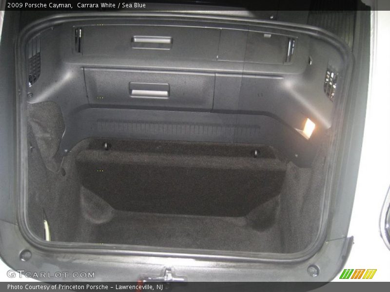 Carrara White / Sea Blue 2009 Porsche Cayman