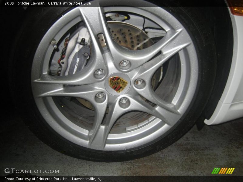 Carrara White / Sea Blue 2009 Porsche Cayman