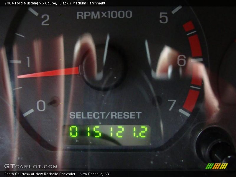 Black / Medium Parchment 2004 Ford Mustang V6 Coupe