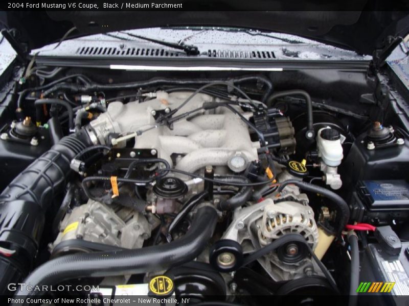 Black / Medium Parchment 2004 Ford Mustang V6 Coupe