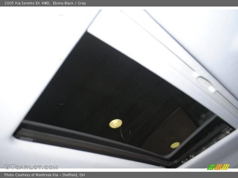 Ebony Black / Gray 2005 Kia Sorento EX 4WD