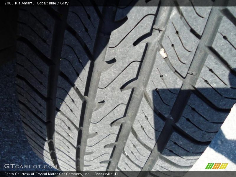 Cobalt Blue / Gray 2005 Kia Amanti