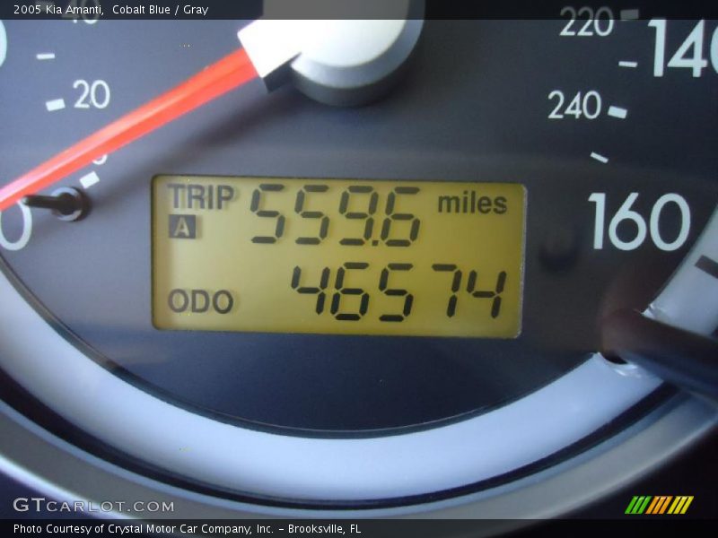 Cobalt Blue / Gray 2005 Kia Amanti