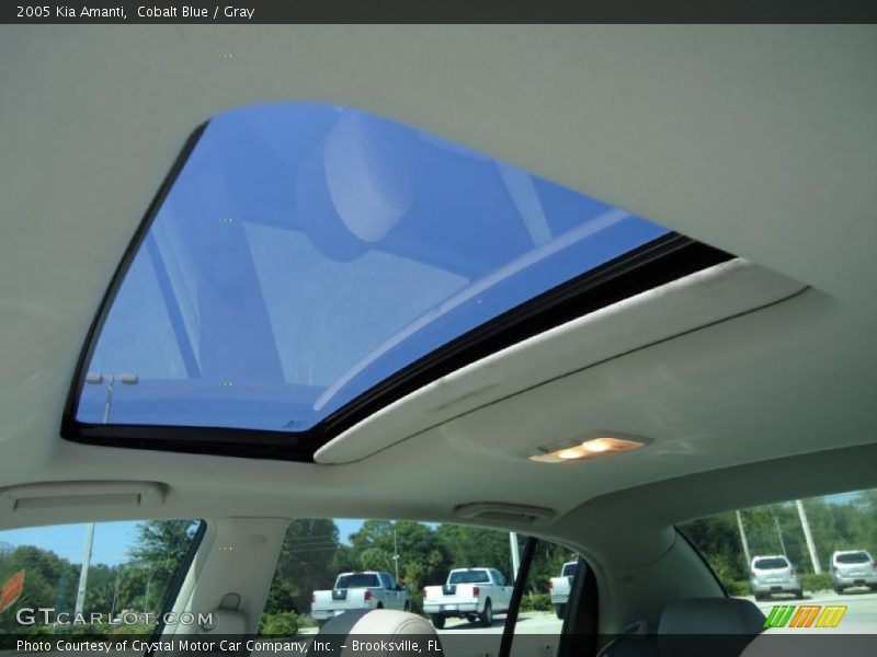 Cobalt Blue / Gray 2005 Kia Amanti