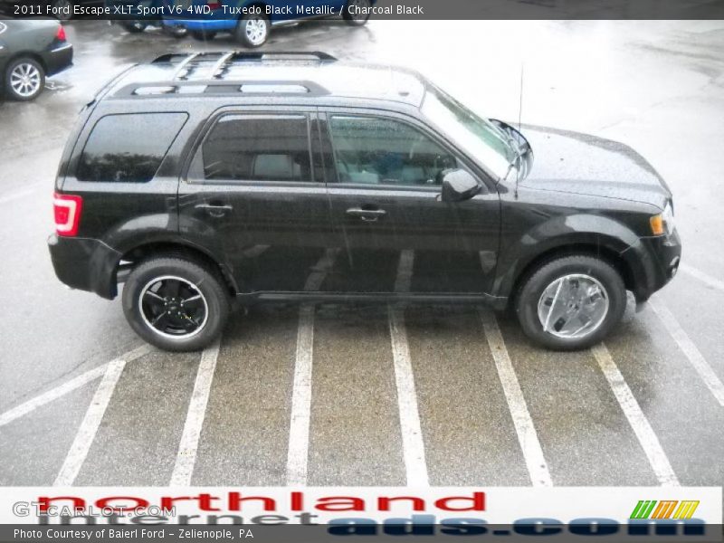 Tuxedo Black Metallic / Charcoal Black 2011 Ford Escape XLT Sport V6 4WD