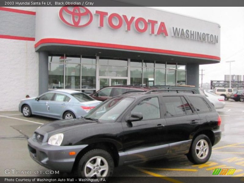 Black Obsidian / Gray 2003 Hyundai Santa Fe LX