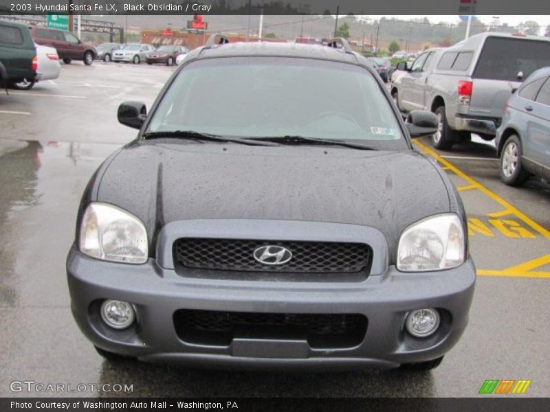 Black Obsidian / Gray 2003 Hyundai Santa Fe LX