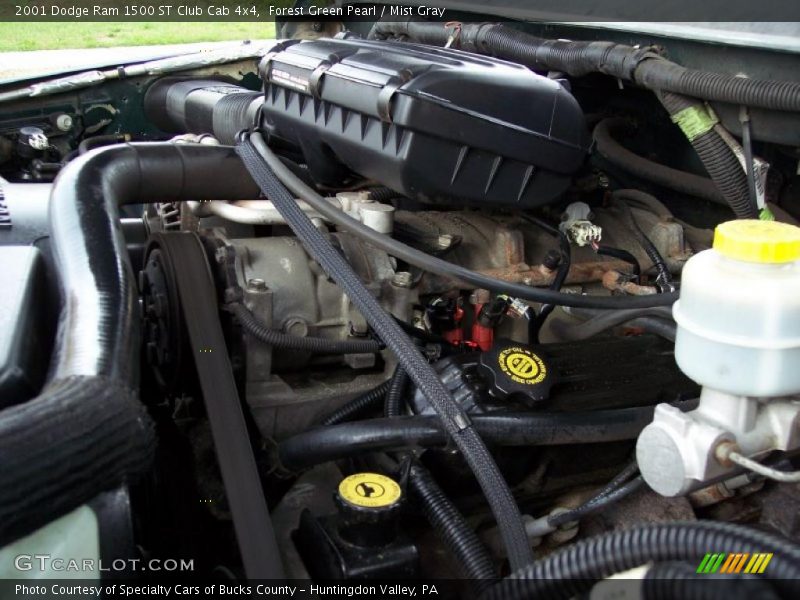 Forest Green Pearl / Mist Gray 2001 Dodge Ram 1500 ST Club Cab 4x4