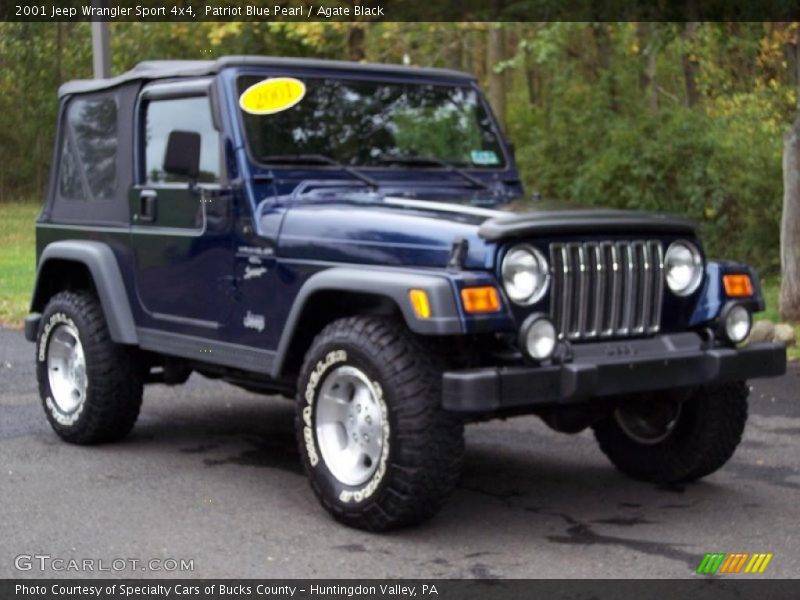 Patriot Blue Pearl / Agate Black 2001 Jeep Wrangler Sport 4x4