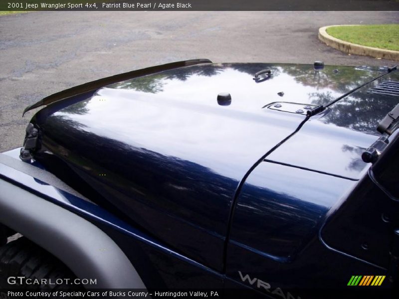 Patriot Blue Pearl / Agate Black 2001 Jeep Wrangler Sport 4x4