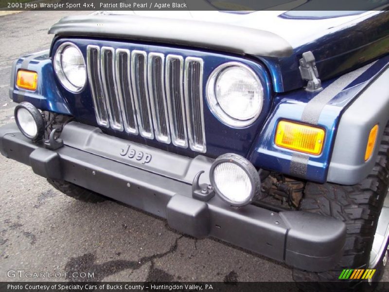 Patriot Blue Pearl / Agate Black 2001 Jeep Wrangler Sport 4x4