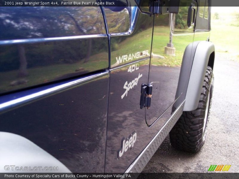 Patriot Blue Pearl / Agate Black 2001 Jeep Wrangler Sport 4x4