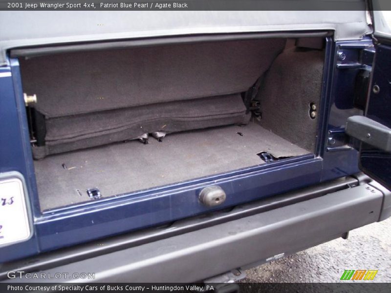 Patriot Blue Pearl / Agate Black 2001 Jeep Wrangler Sport 4x4