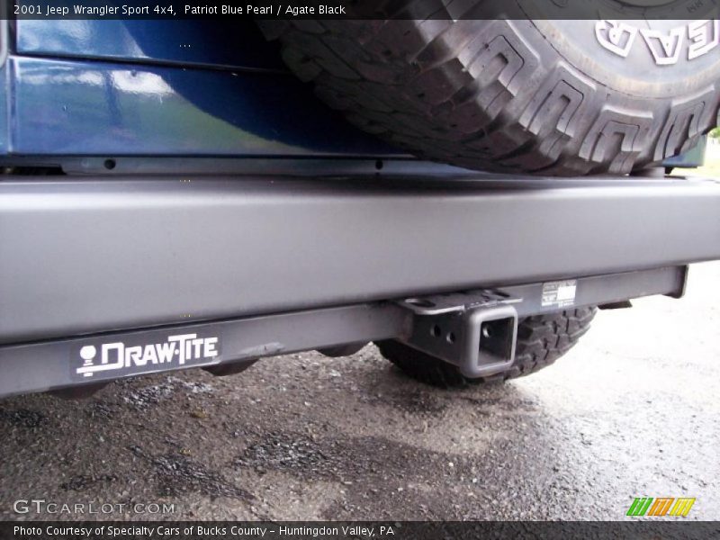 Patriot Blue Pearl / Agate Black 2001 Jeep Wrangler Sport 4x4