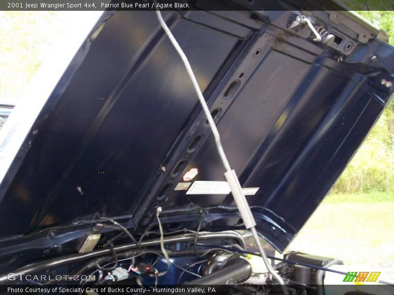 Patriot Blue Pearl / Agate Black 2001 Jeep Wrangler Sport 4x4