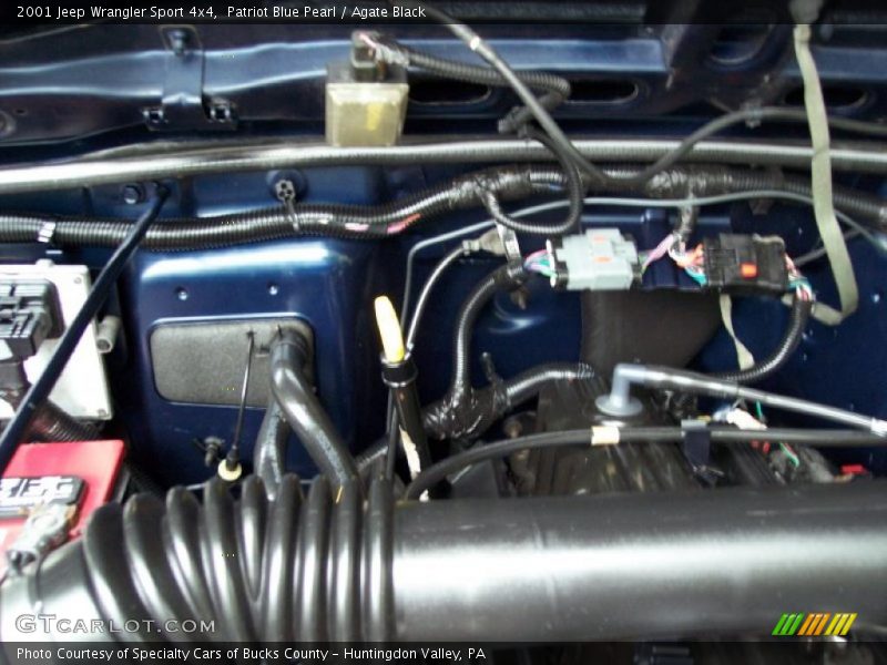 Patriot Blue Pearl / Agate Black 2001 Jeep Wrangler Sport 4x4