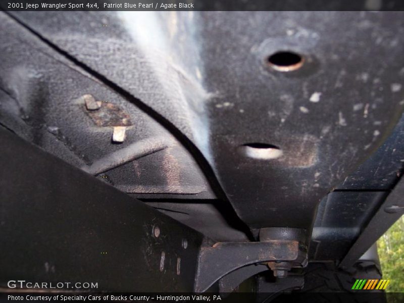 Patriot Blue Pearl / Agate Black 2001 Jeep Wrangler Sport 4x4