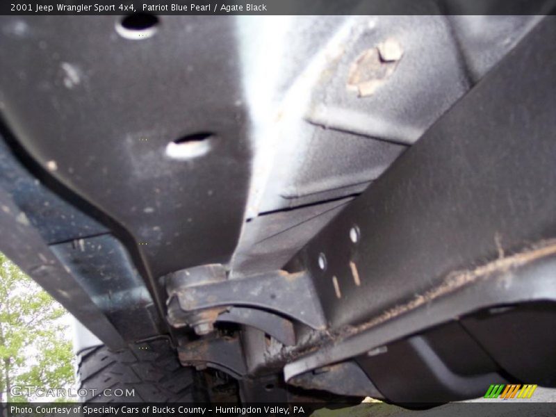 Patriot Blue Pearl / Agate Black 2001 Jeep Wrangler Sport 4x4