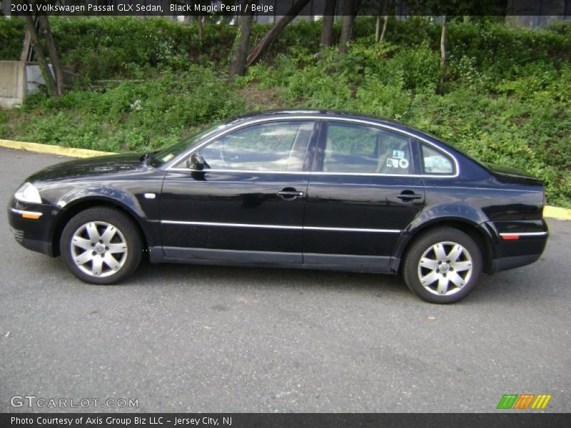 Black Magic Pearl / Beige 2001 Volkswagen Passat GLX Sedan