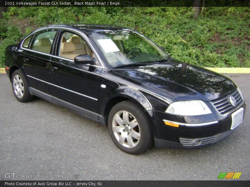 Black Magic Pearl / Beige 2001 Volkswagen Passat GLX Sedan