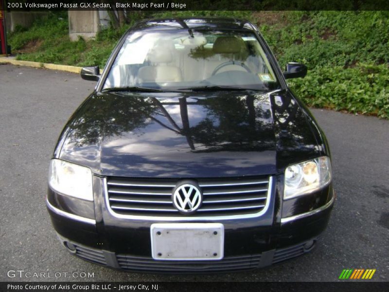 Black Magic Pearl / Beige 2001 Volkswagen Passat GLX Sedan