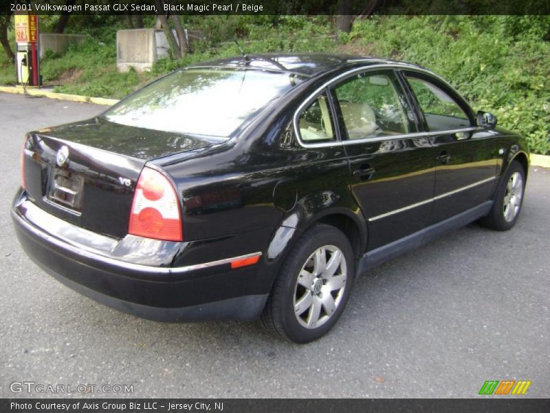 Black Magic Pearl / Beige 2001 Volkswagen Passat GLX Sedan