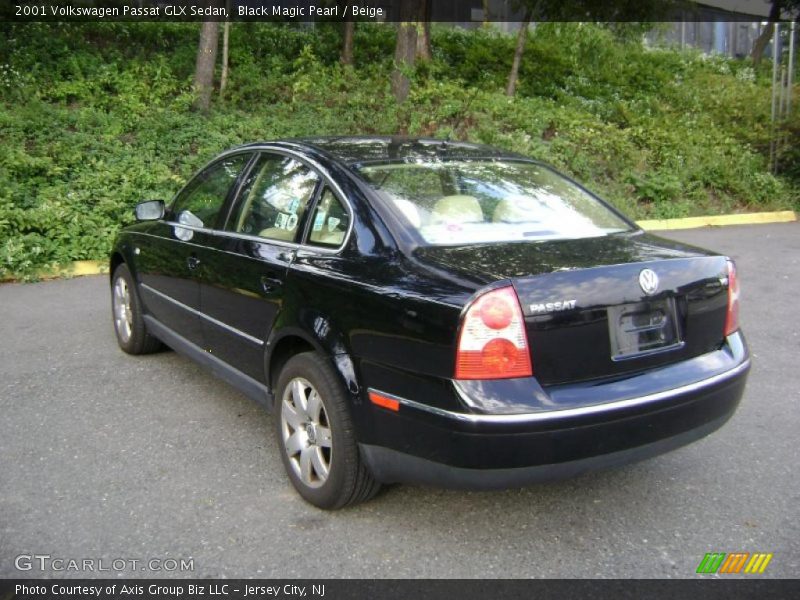 Black Magic Pearl / Beige 2001 Volkswagen Passat GLX Sedan
