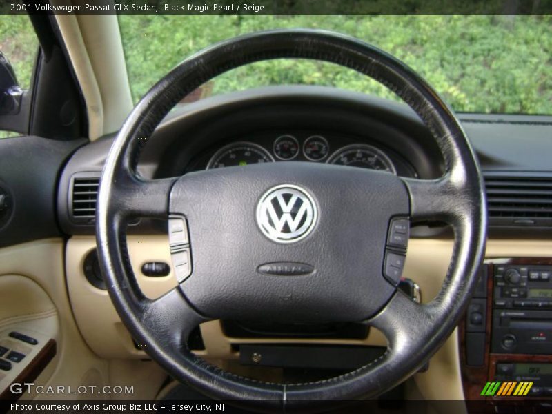 Black Magic Pearl / Beige 2001 Volkswagen Passat GLX Sedan